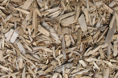 biomass boilers Bevendean